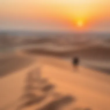 Thrilling outdoor activities in the UAE desert