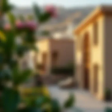 Diverse property types available in الكومودور الشارقة