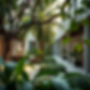 Notable Exploring the Concept of a Green Community Notable Exploring the Concept of a Green Community