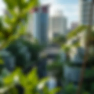 Harmonious Integration of Urban and Green Environments Urban landscape integrating green spaces with mangrove preservation