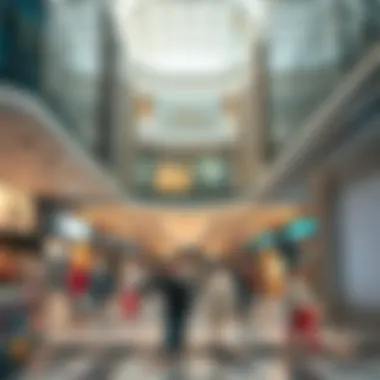 Exploring the Landscape of Retail Shops in Dubai Summary