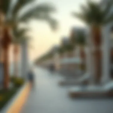 Investment hotspots on Reem Island