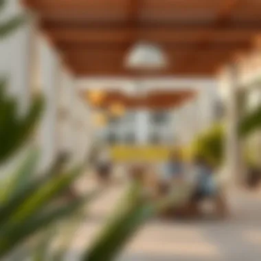 Interactive community spaces within the villa project