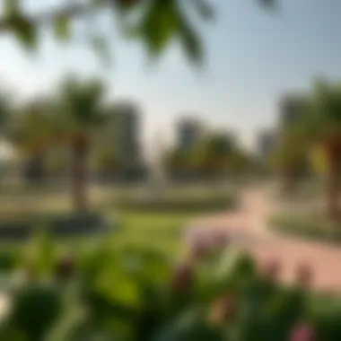 Urban Park in Ghoroob Community Urban park within the Ghoroob Community emphasizing green spaces
