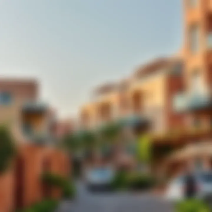 Vibrant Dubai neighborhood showcasing cultural diversity
