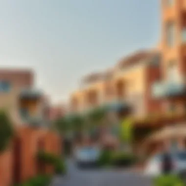 Vibrant Neighborhood Vibrant Dubai neighborhood showcasing cultural diversity