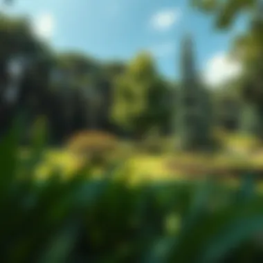 Beautiful parks and green spaces in Mag City