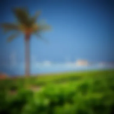 Solar panels and green spaces in Masdar City