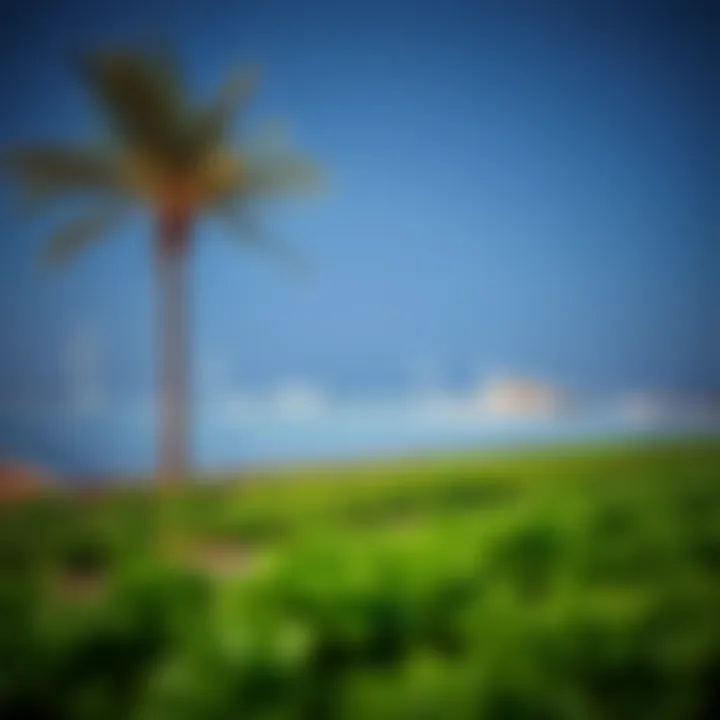 Solar panels and green spaces in Masdar City