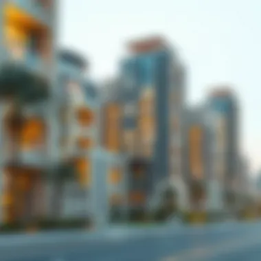 Luxurious residential developments within Meydan