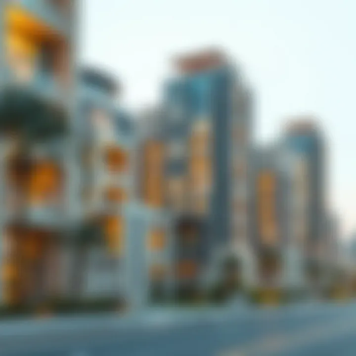 Luxurious residential developments within Meydan