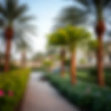 Green Spaces and Recreational Areas in Mirdif Lush parks and recreational areas in Mirdif offering community space