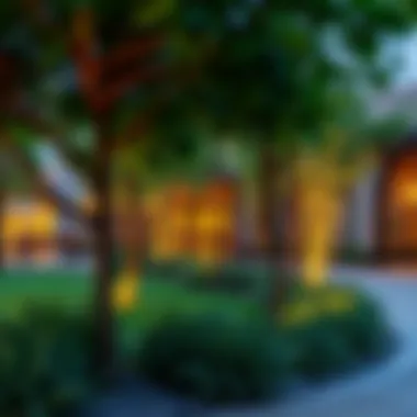 Lush Greenery and Community Spaces in Mirador Palmera Lush green spaces in Mirador Palmera