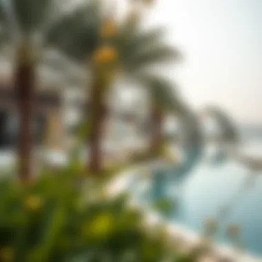 Scenic Location Advantages of Mirador Palmera Scenic location of Mirador Palmera