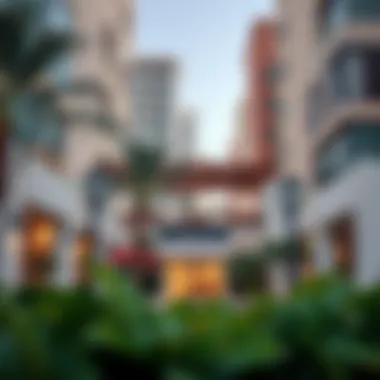 Amenities and facilities in Al Nahda neighborhood