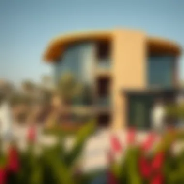 Community amenities highlighting leisure facilities and social spaces in Mudon Ranim