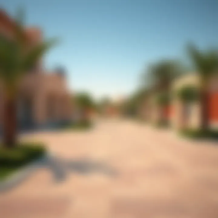 Public amenities and parks in Mussafah emphasizing lifestyle