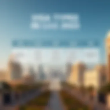 Graphic representation of various visa types available in the UAE