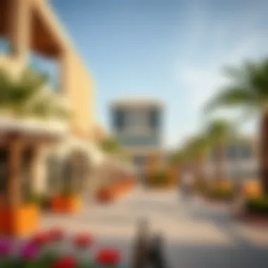 Community Amenities and Lifestyle at Oasis 1 Vibrant community amenities at Oasis 1