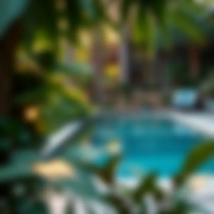Serene atmosphere of a private pool surrounded by lush greenery