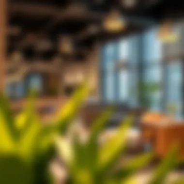 Essential Amenities for Tenants at Rania Business Center Amenities available at Rania Business Center, highlighting coworking spaces