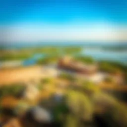 A panoramic view of Ras Al Khor Wildlife Sanctuary showcasing vibrant ecosystems