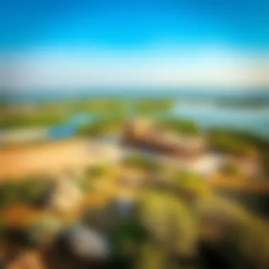 Panoramic View of Ras Al Khor A panoramic view of Ras Al Khor Wildlife Sanctuary showcasing vibrant ecosystems