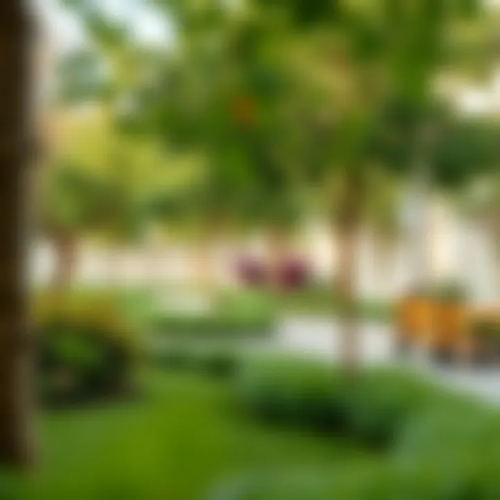 Vibrant community park in Rawdat Al Nayeef filled with greenery