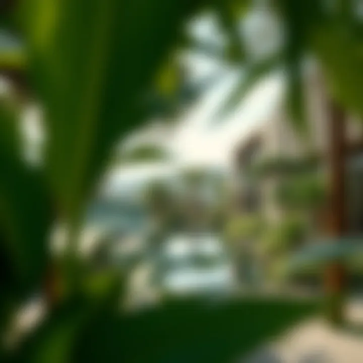 Sustainable architecture of Six Senses Residences surrounded by nature