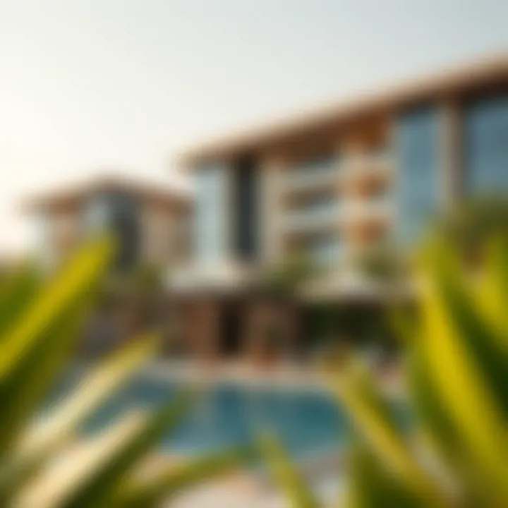The Art of Living in Dubai Introduction