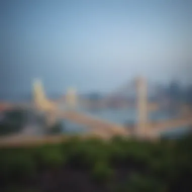 The One Zabeel Link Bridge and Urban Connectivity A panoramic view of the One Zabeel Link Bridge in the context of urban connectivity