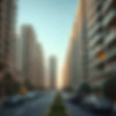 Urban planning and development in Dubai