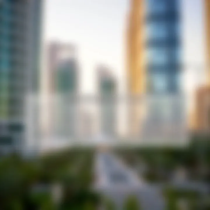 An informative graphic illustrating independent visa categories in the UAE