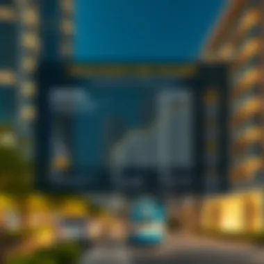 Impact of Regulations on Rental Properties in Dubai Infographic of regulations impacting Dubai's rental properties