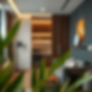 Amenities available in a typical Deira studio flat