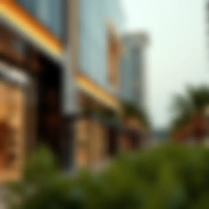 Analyzing consumer behavior trends in Viva